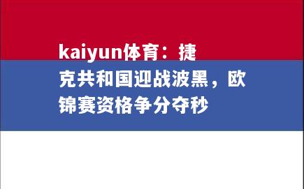 捷克共和国迎战波黑，欧锦赛资格争分夺秒